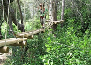 parcours dans les arbres proche de Barjac